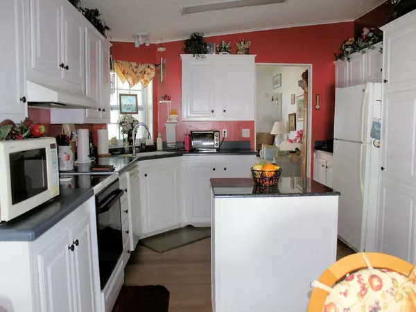 Largo, FL 33770,51 PINDO PALM ST E