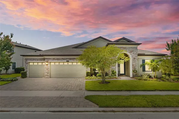 Land O Lakes, FL 34637,21642 EMORY OAK PL