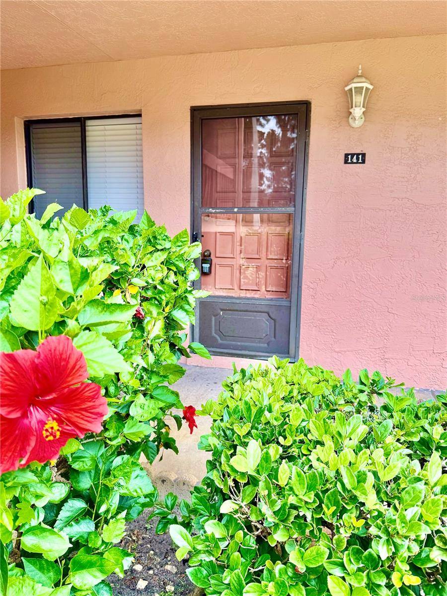 Oldsmar, FL 34677,141 LAKESIDE DR