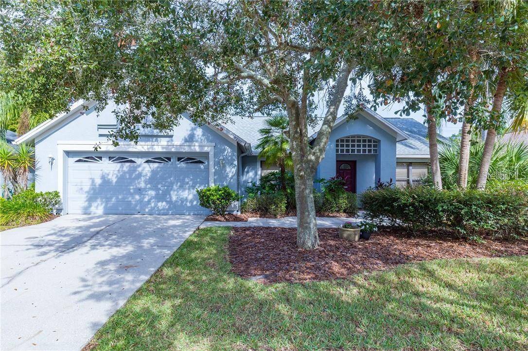 Tampa, FL 33647,9220 DAYFLOWER DR