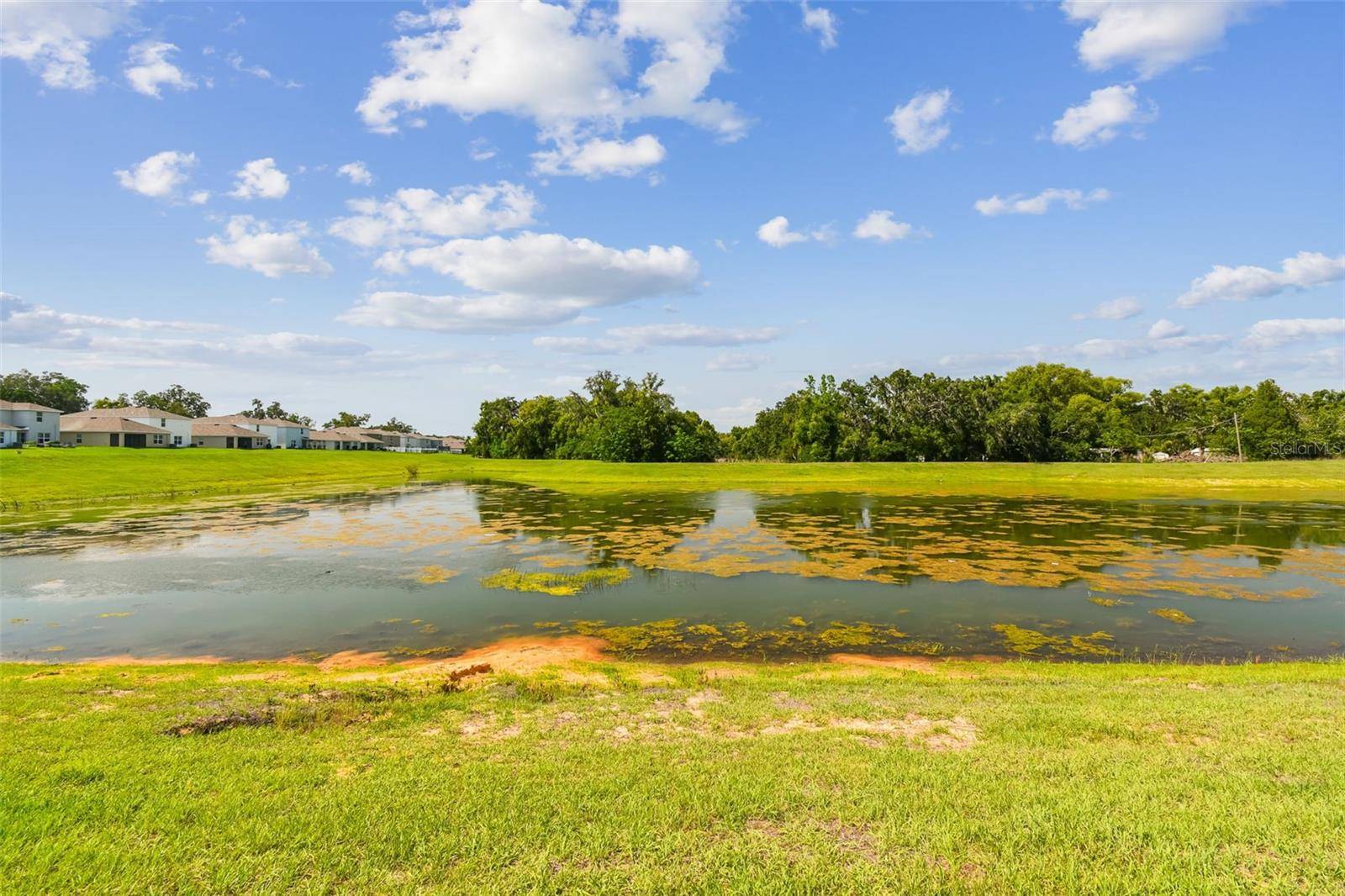 Dade City, FL 33525,36673 SPANISH ROSE DR