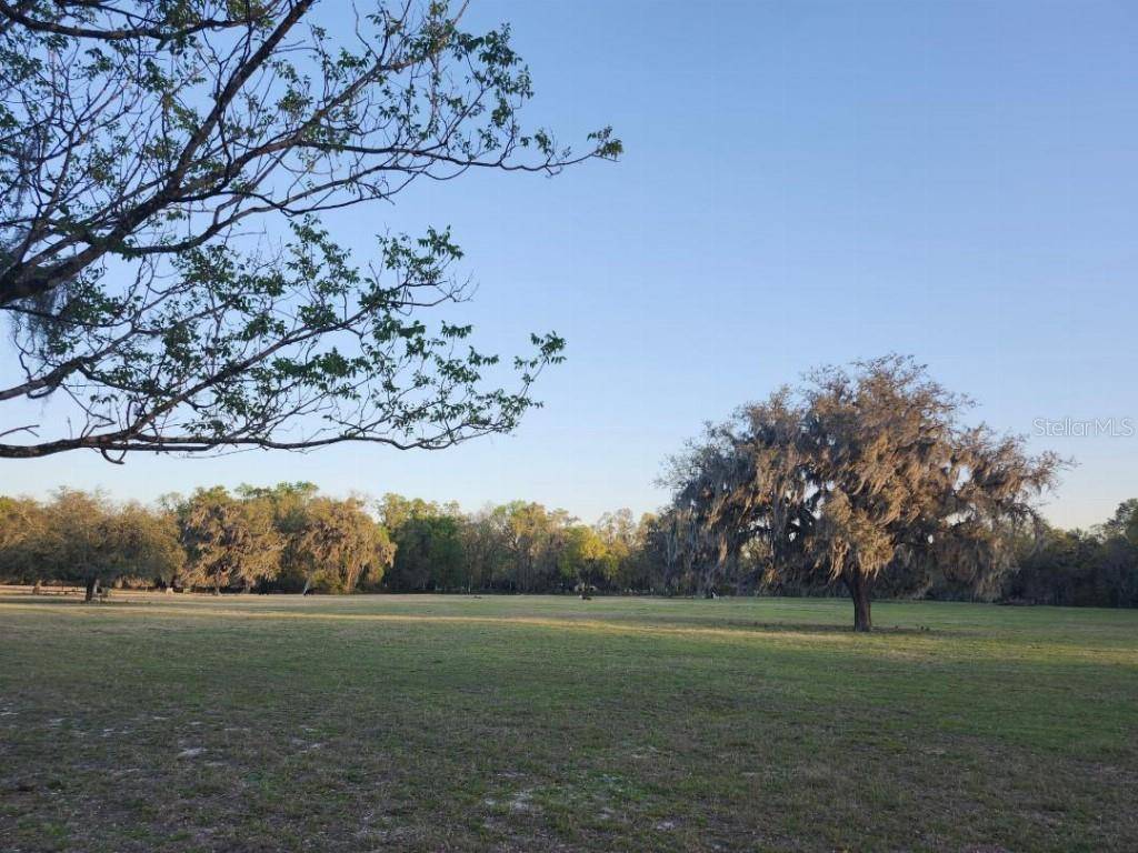 Anthony, FL 32617,0 NE 132ND PL