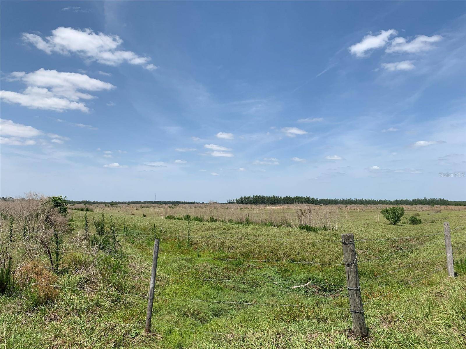 JOHNSTON RD, Zolfo Springs, FL 33890