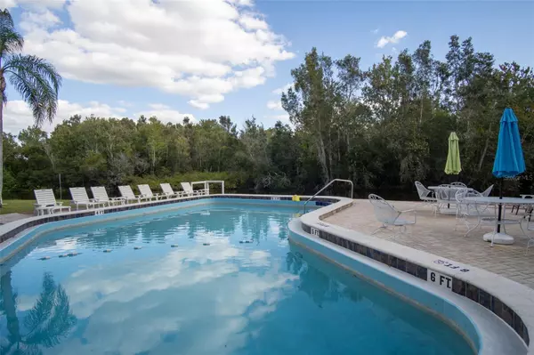 Palm Harbor, FL 34684,2533 DOLLY BAY DR #203