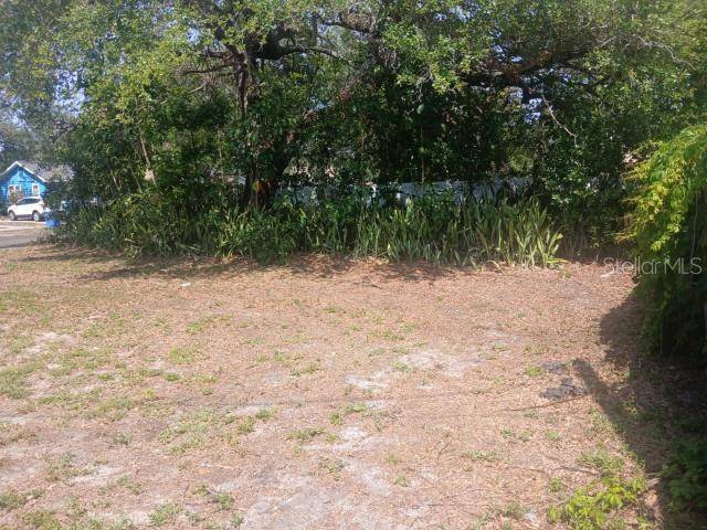 St Petersburg, FL 33705,930 JAMES AVE S