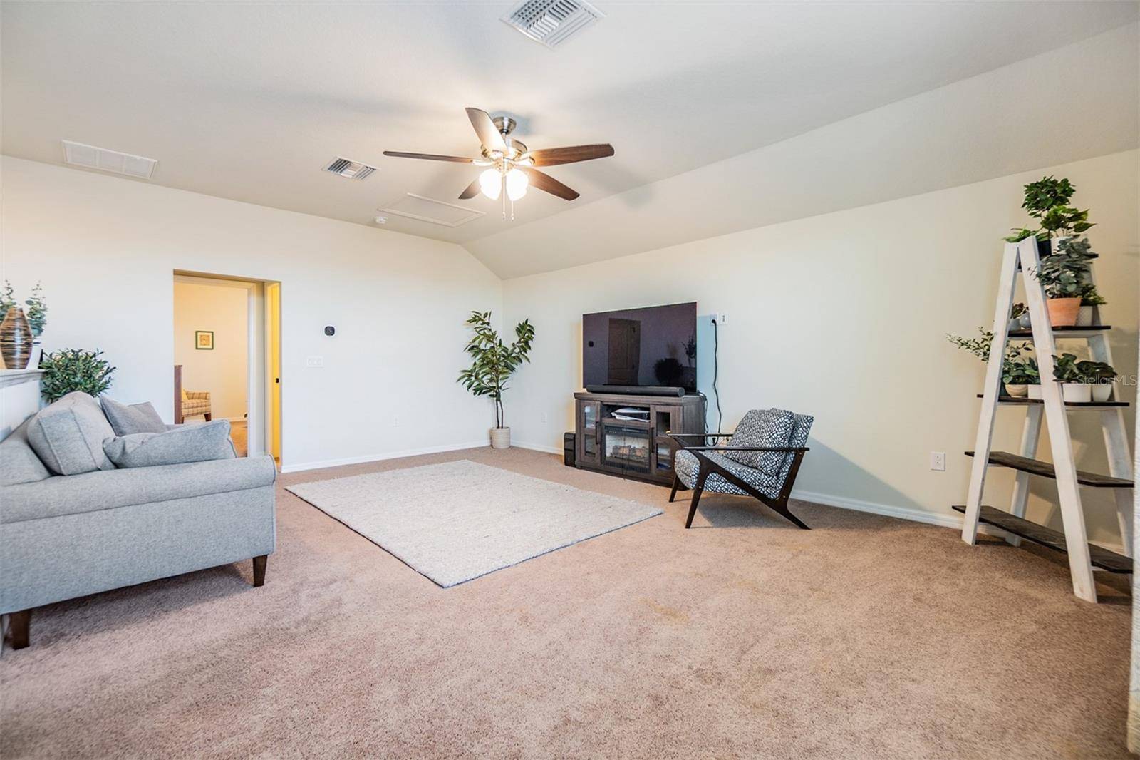 Wesley Chapel, FL 33545,8296 OLIVE BROOK DR