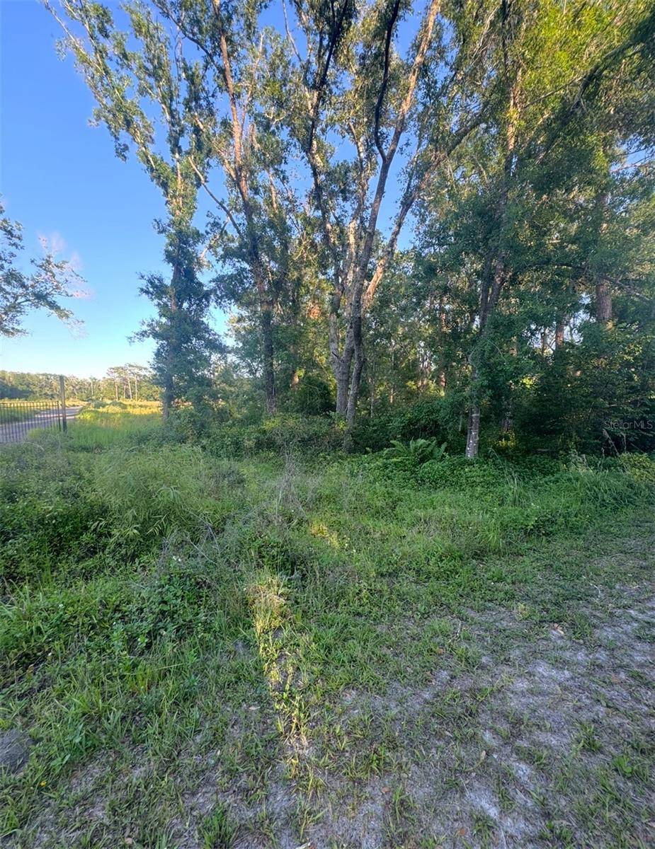14805 BERKFORD AVE, Tampa, FL 33625