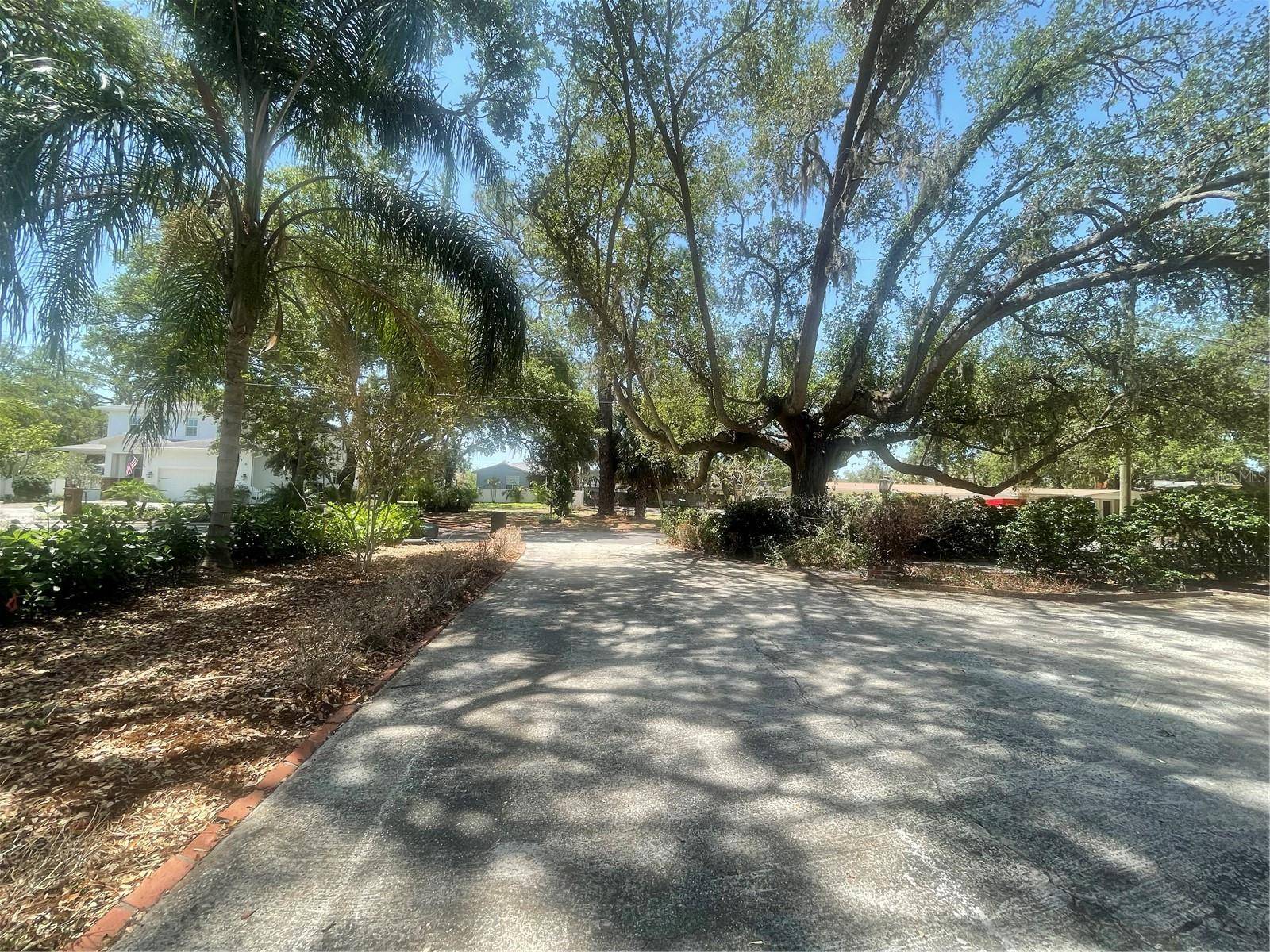 Tampa, FL 33629,4711 W VASCONIA ST