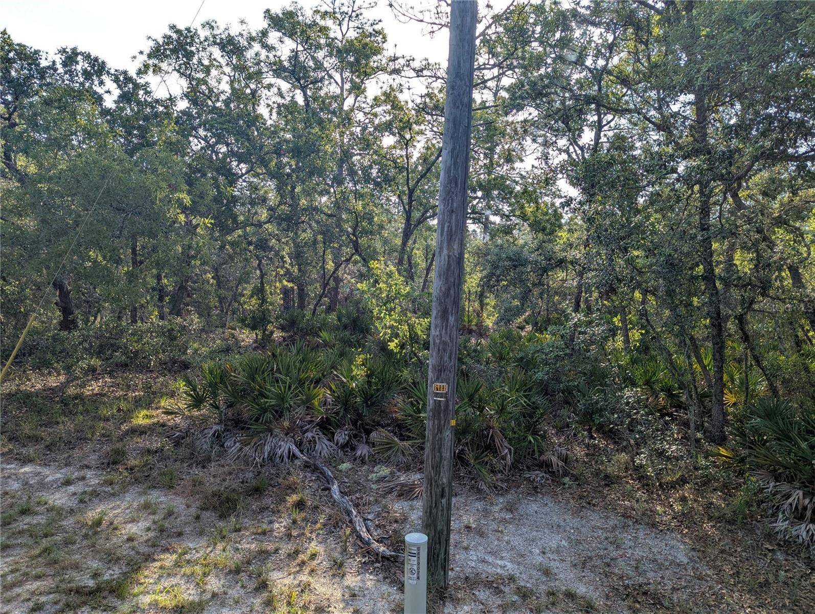 Brooksville, FL 34614,19036 RETRIEVER RD