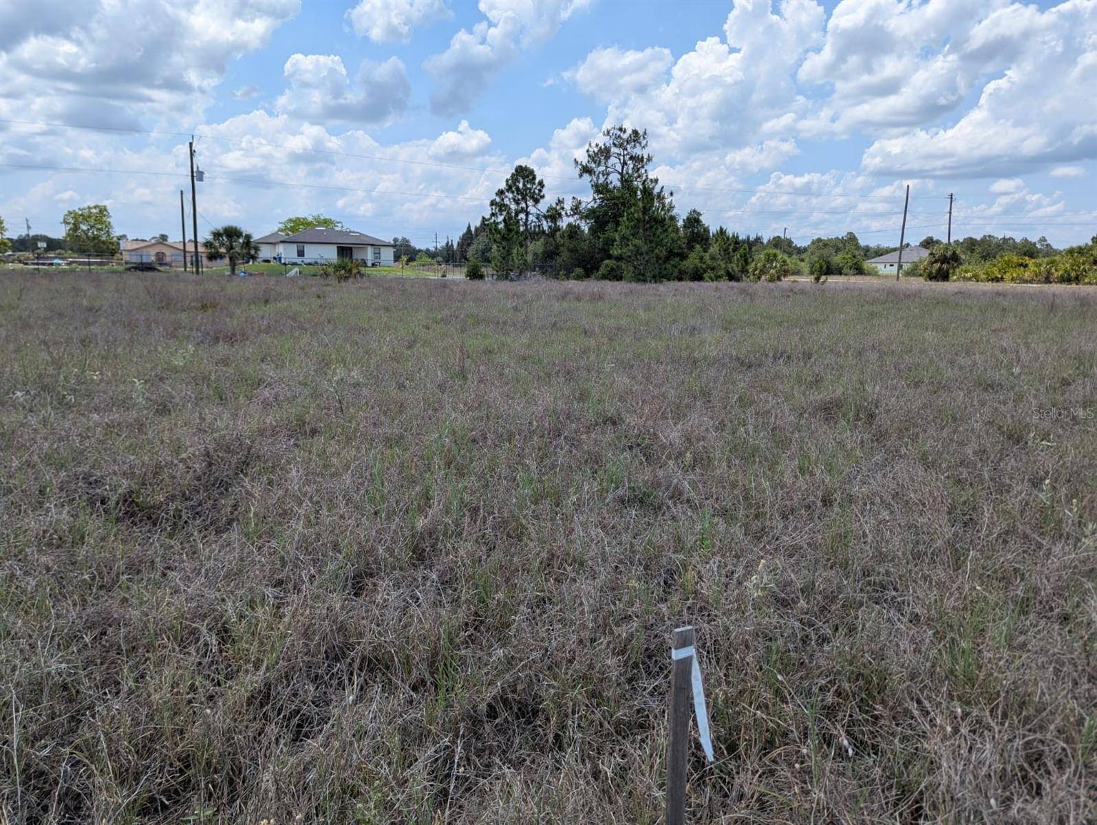 Lehigh Acres, FL 33972,1721 WELLS AVE
