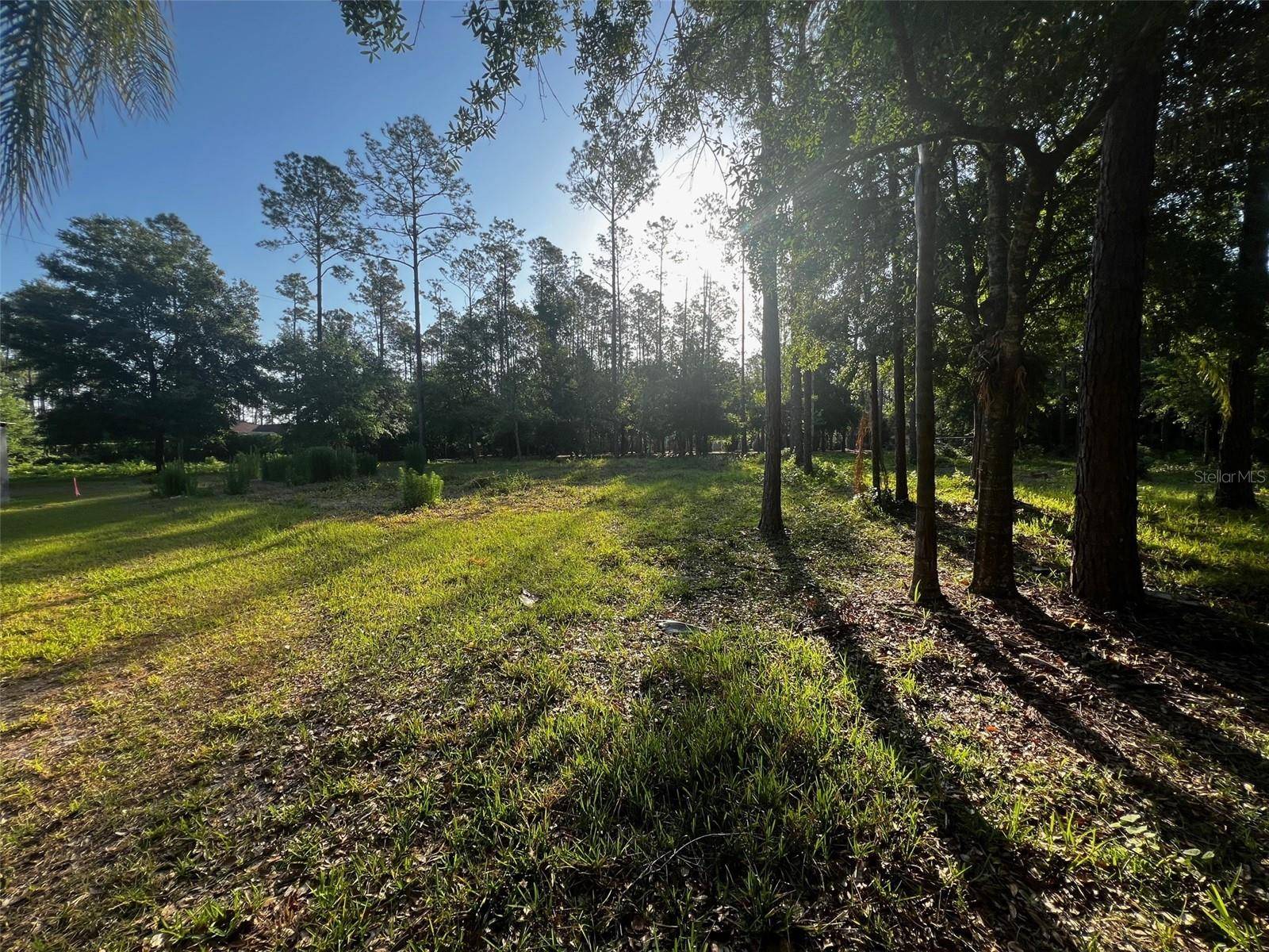 Lutz, FL 33549,NEWBERGER