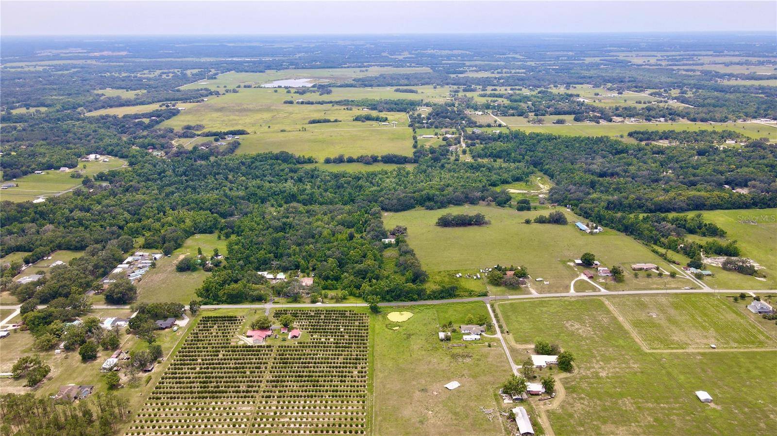 Dade City, FL 33525,14435 CURLEY RD