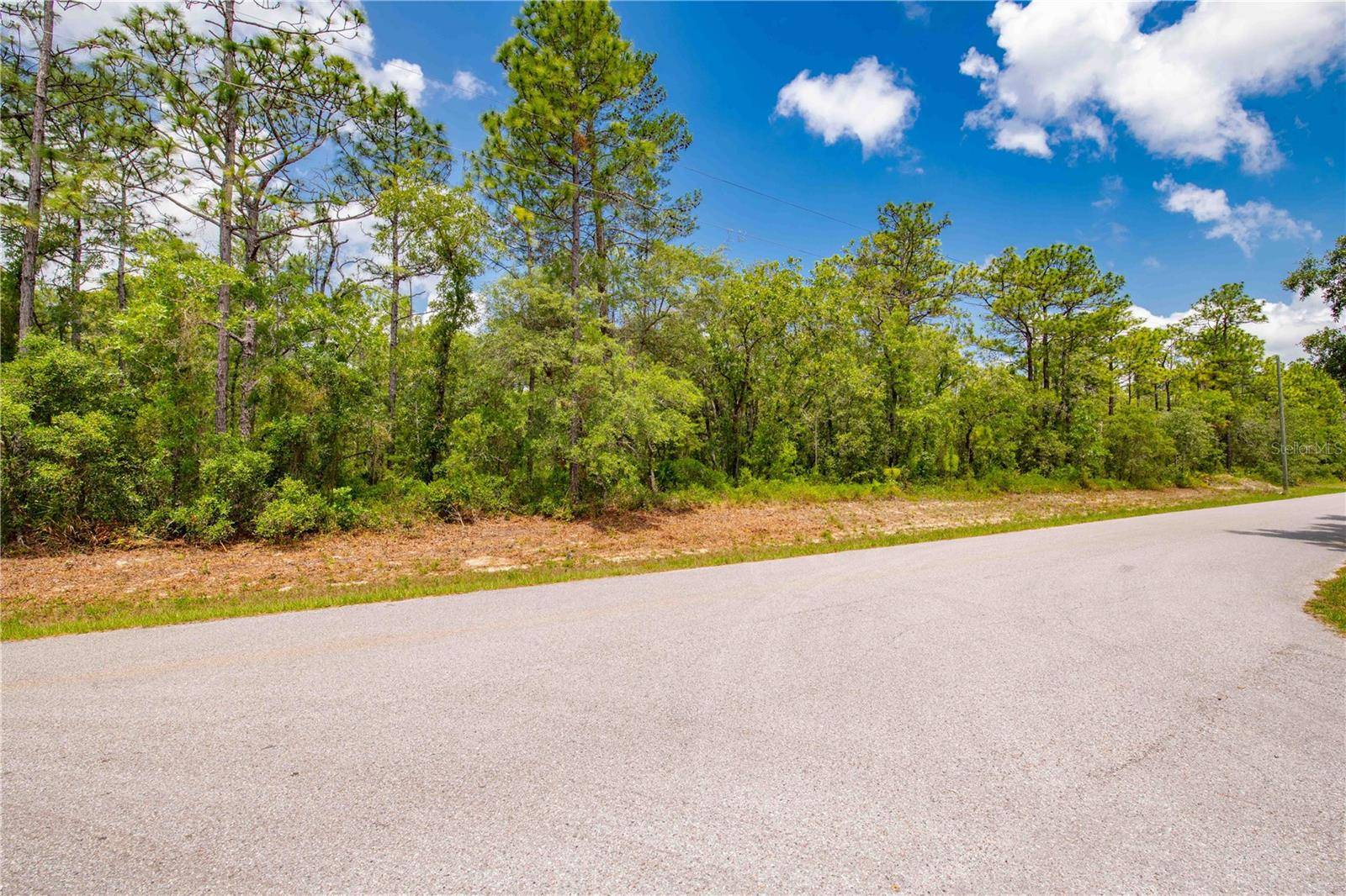 Weeki Wachee, FL 34614,16295 MOUNT SPARROW RD