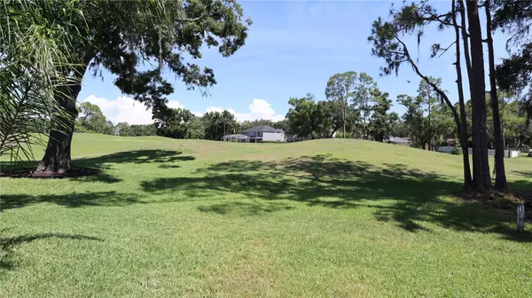 Odessa, FL 33556,12808 KILLARNEY CT
