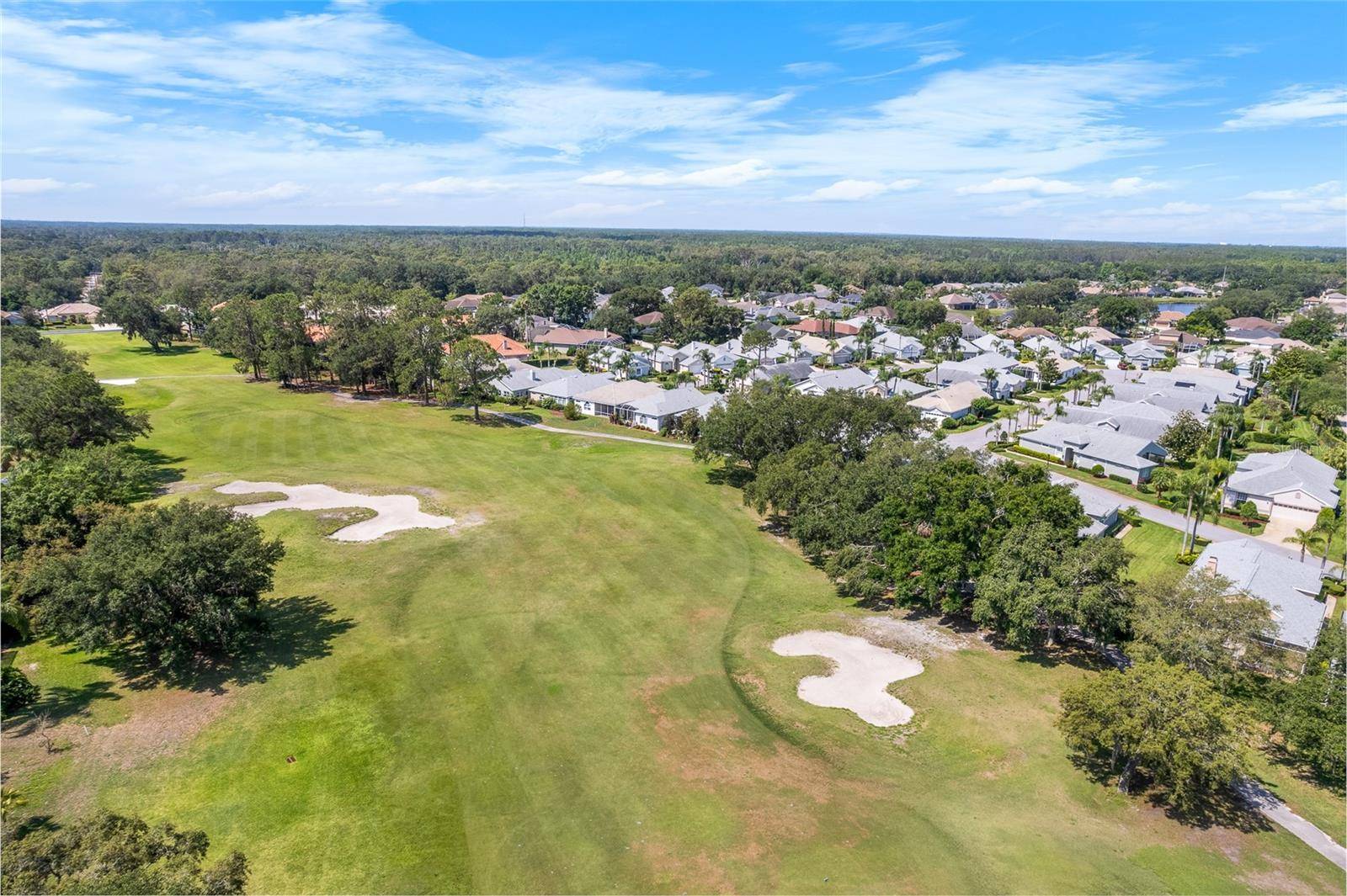 Trinity, FL 34655,1130 HOMINY HILL DR
