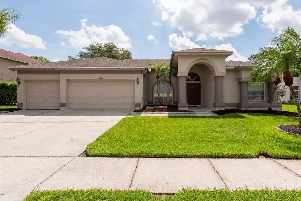 Lutz, FL 33558,18518 BITTERN AVE