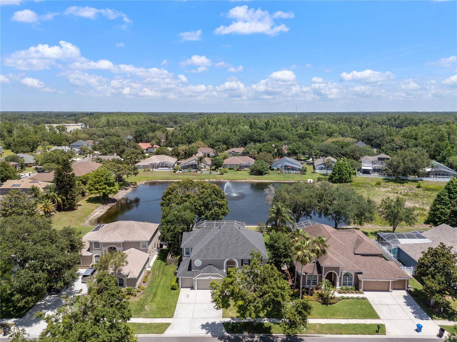 Odessa, FL 33556,9223 BRINDLEWOOD DR