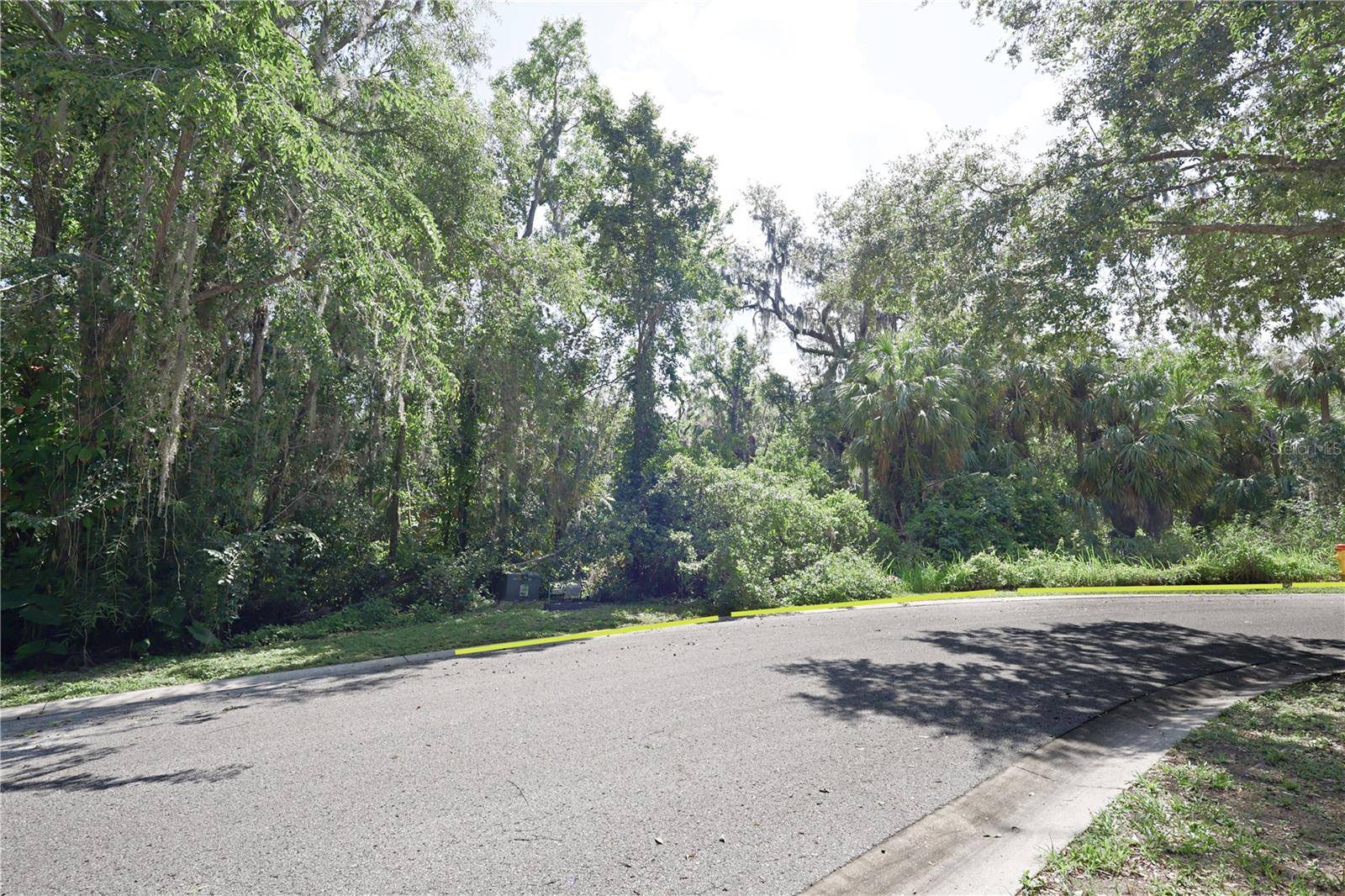 Brandon, FL 33511,4710 RAMBLING RIVER RD