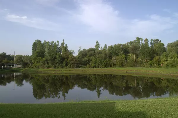 Wesley Chapel, FL 33543,1922 SASSAFRAS DR