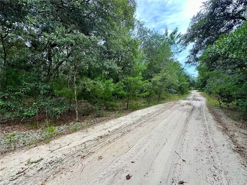 CEDAR TRL, Interlachen, FL 32148