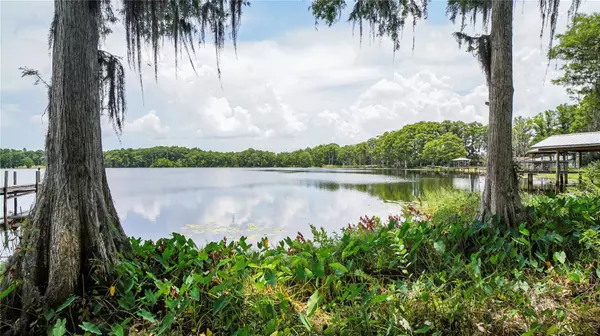 Land O Lakes, FL 34638,10818 LAND O LAKES BLVD