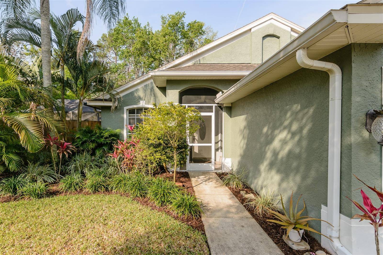 Palm Harbor, FL 34685,5619 ESSEX CT
