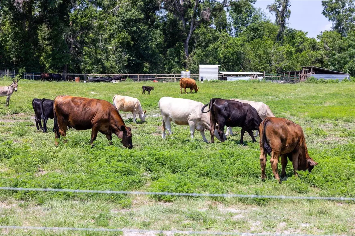 Dade City, FL 33523,21455 US HWY 98