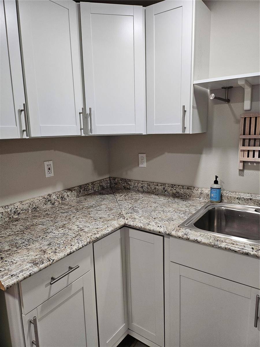 Lithia, FL 33547,10104 LOETSCHER LN