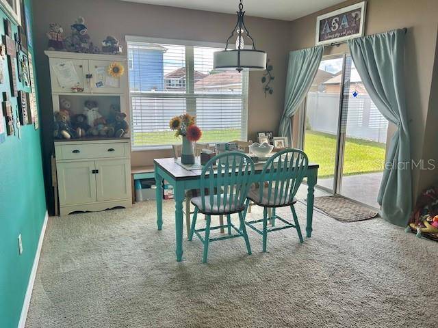 Plant City, FL 33567,3313 SAN MOISE PL