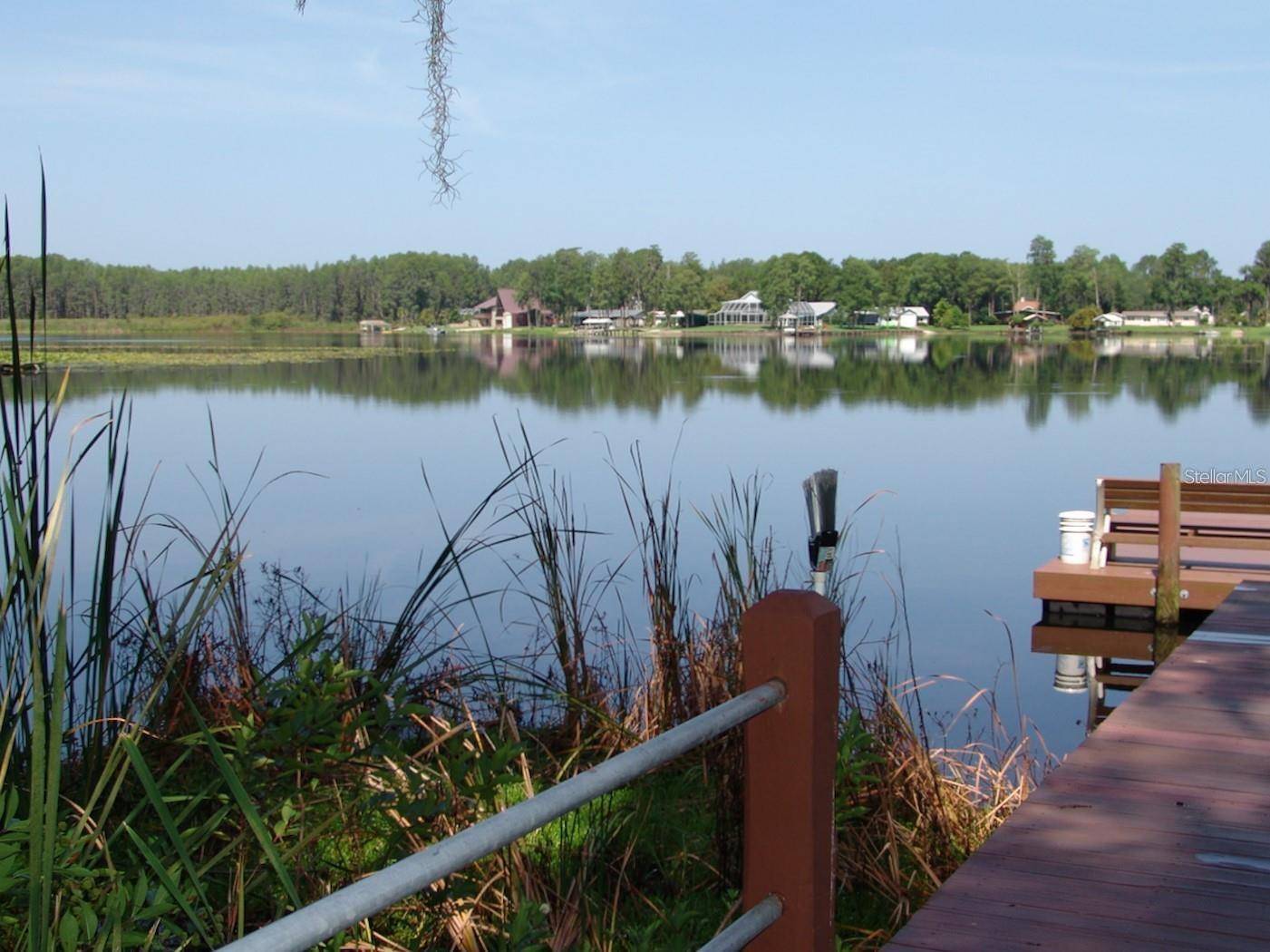 Lutz, FL 33549,1605 SEND WAY