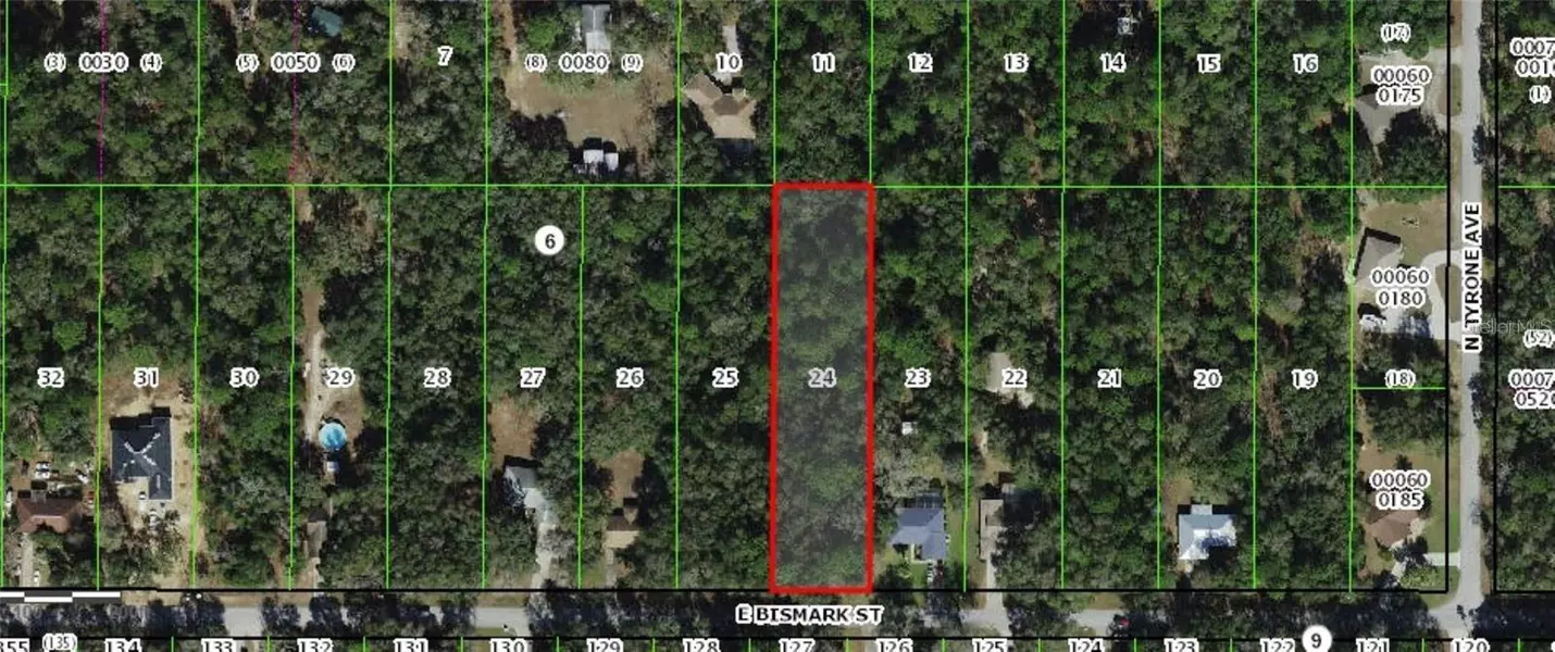 1191 E BISMARK ST, Hernando, FL 34442