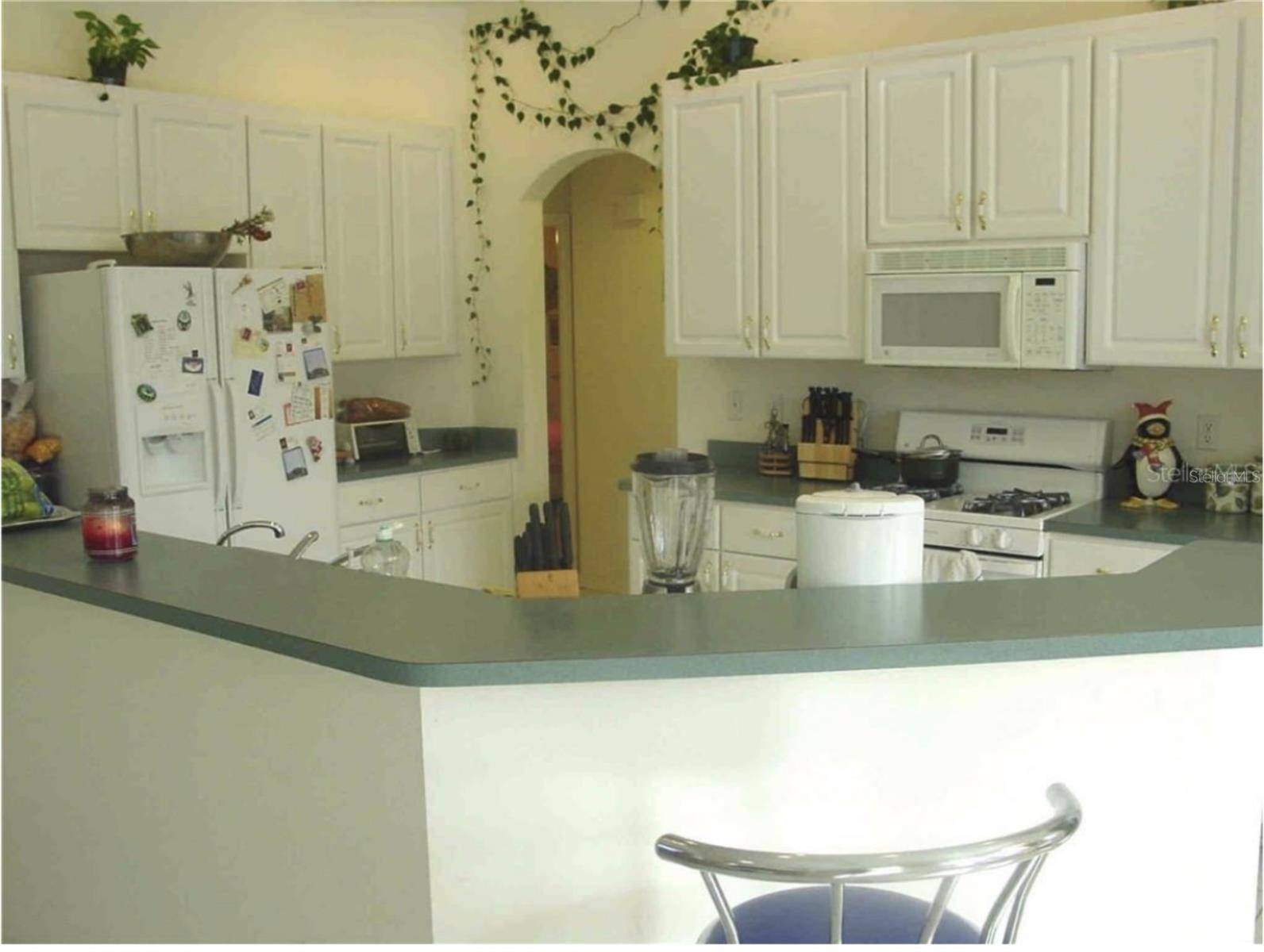 Valrico, FL 33596,4634 RIVER OVERLOOK DR