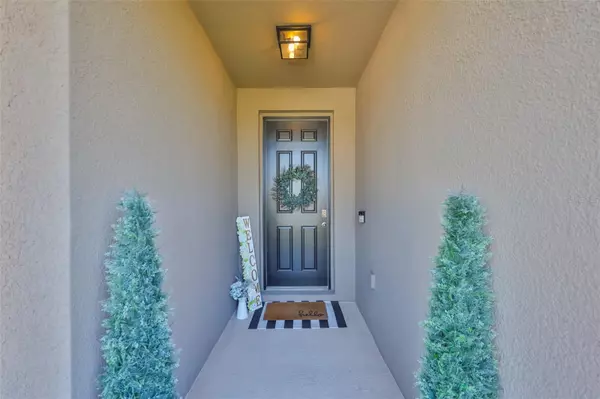 Riverview, FL 33579,12382 SHINING WILLOW ST