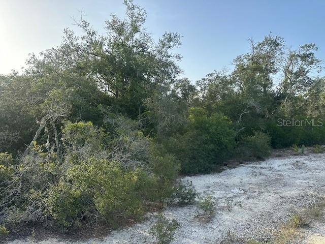 Lake Placid, FL 33852,259 DARGEN DR