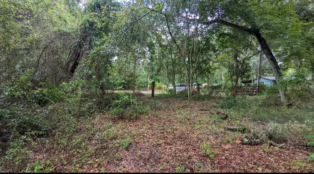 Floral City, FL 34436,7909 S LESLIE PT