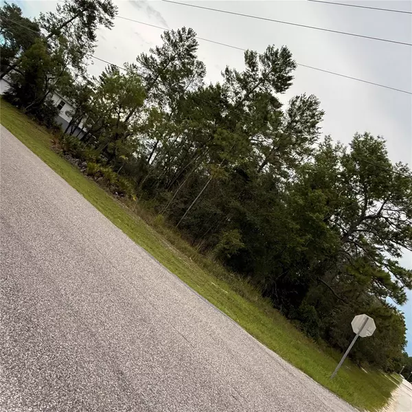 Weeki Wachee, FL 34614,11200 MARVELWOOD RD