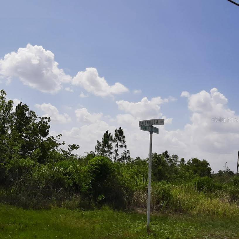 Indian Lake Estates, FL 33855,412 CALENDULA DR
