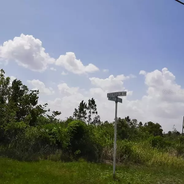 Indian Lake Estates, FL 33855,412 CALENDULA DR