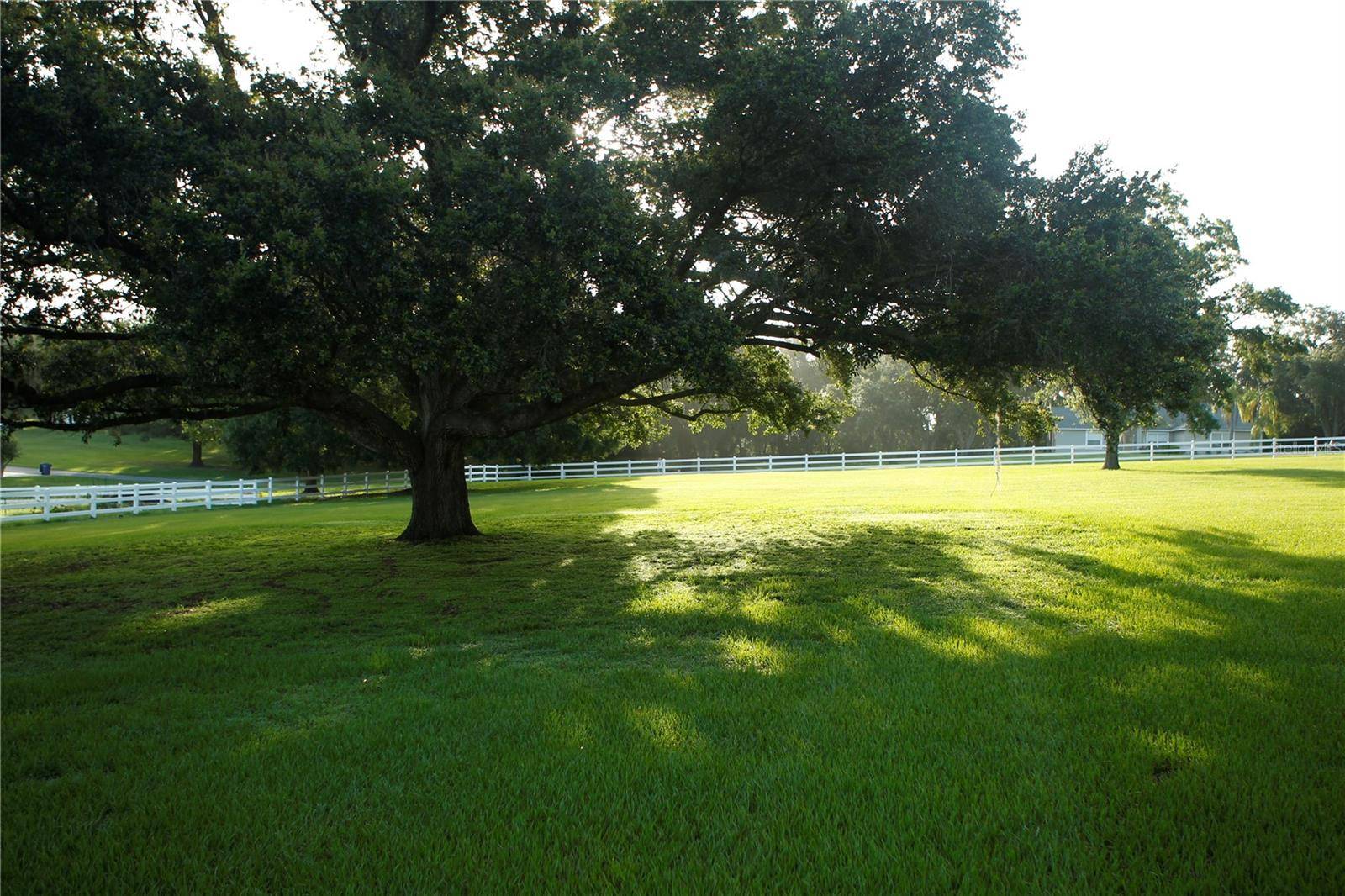SKY RIDGE CIR, Dade City, FL 33525