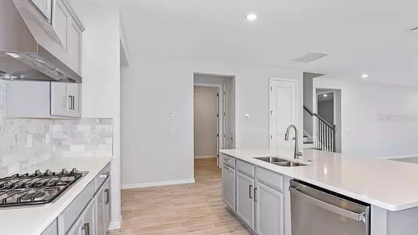 Wesley Chapel, FL 33543,33306 CASTAWAY LOOP
