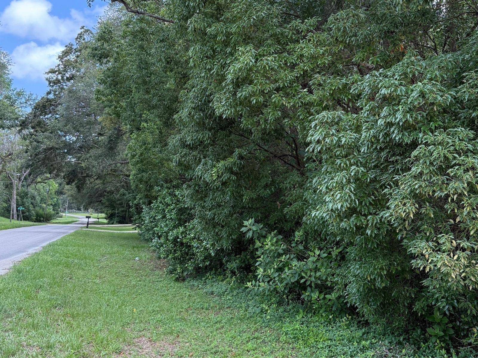 Brooksville, FL 34604,1059 MONROE AVE