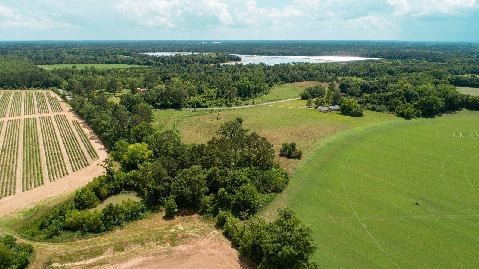 Quincy, FL 32352,TYLER SANDERS RD
