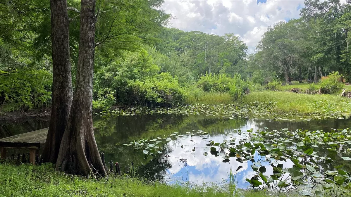 Bushnell, FL 33513,7234 CR 651W