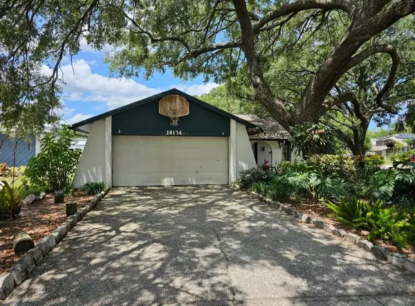 16134 RAVENDALE DR, Tampa, FL 33618