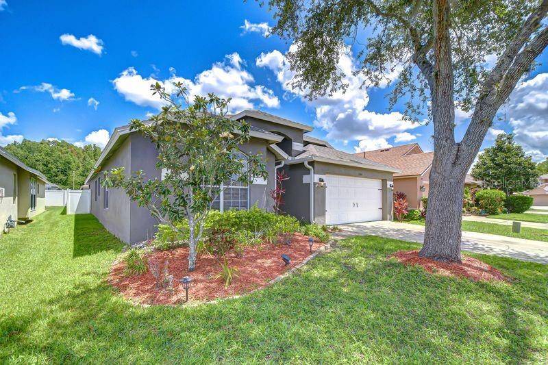 Wesley Chapel, FL 33543,31349 PHILMAR LN