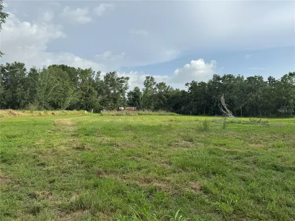 Wimauma, FL 33598,13930 SWEAT LOOP RD