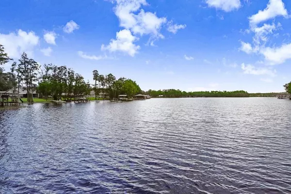 Odessa, FL 33556,8903 DONNA LU DR
