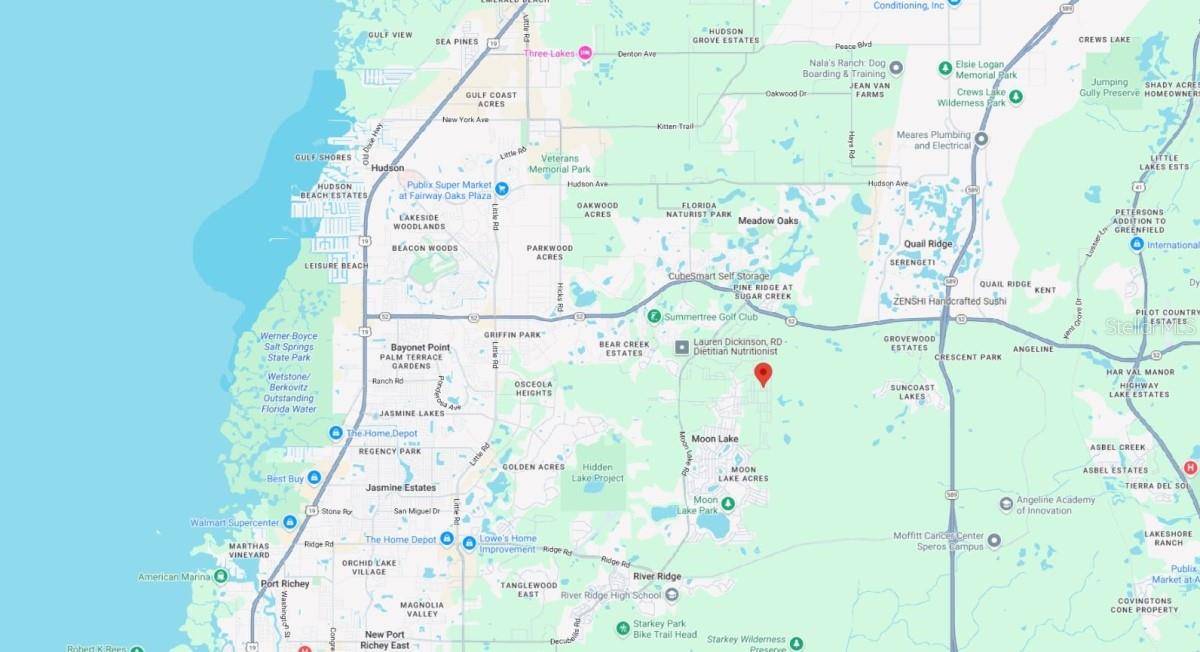 New Port Richey, FL 34654,WEBB