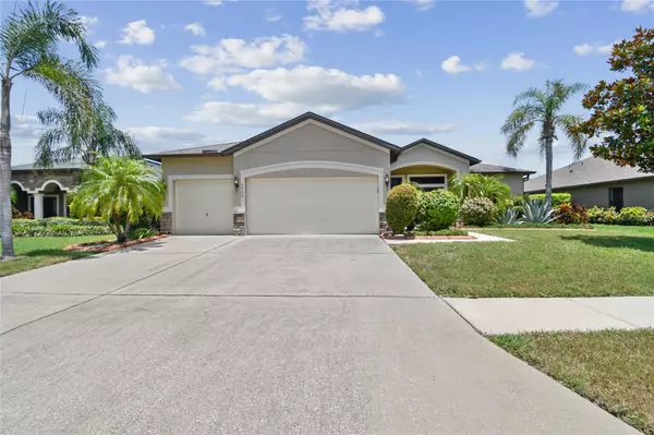 Apollo Beach, FL 33572,5303 MOON SHELL DR