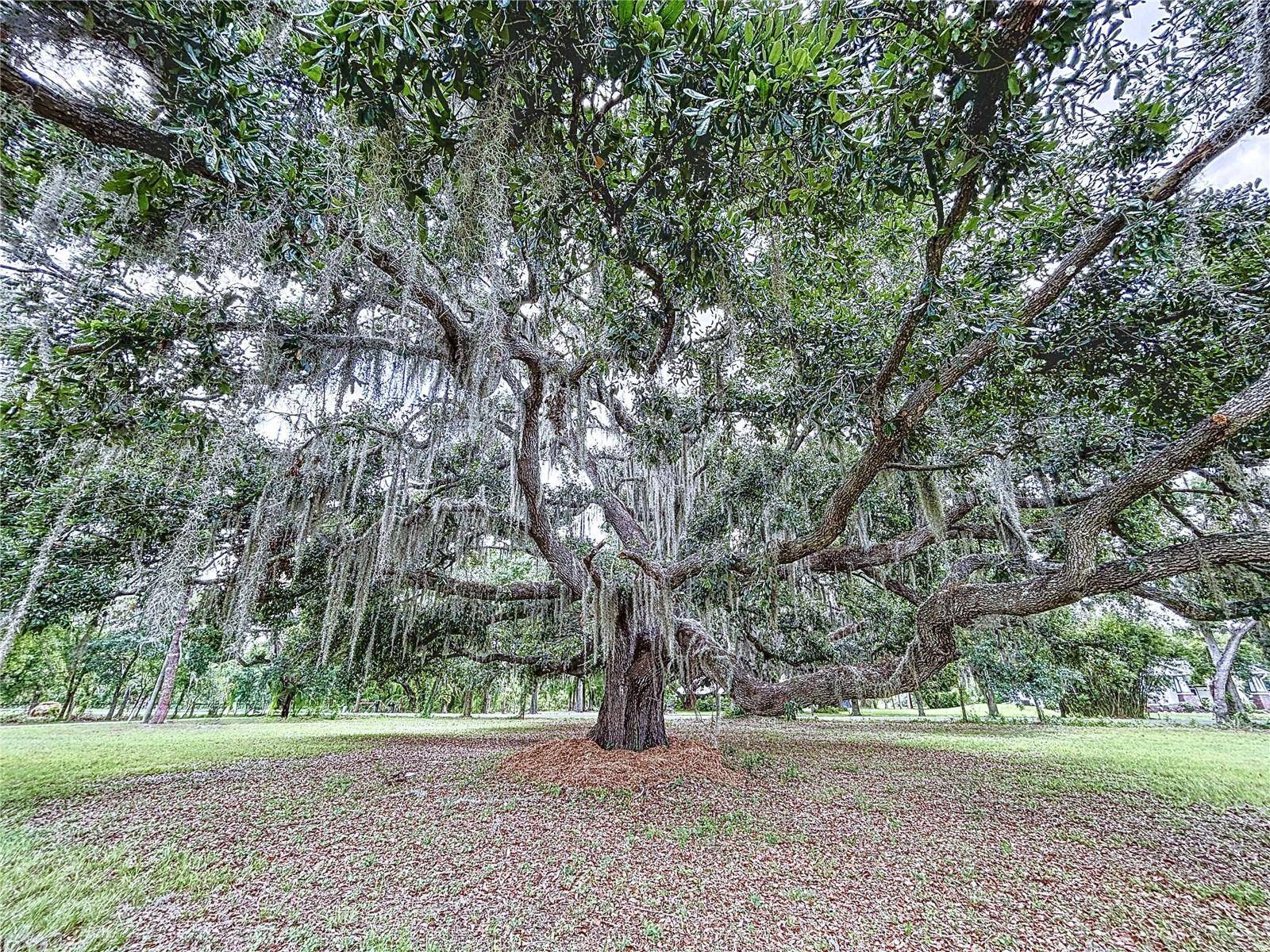 Plant City, FL 33565,5007 BOOTH RD